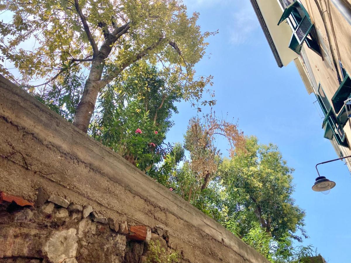 Casaviva - Lovely Bilo In Ancient Genoa 아파트 외부 사진